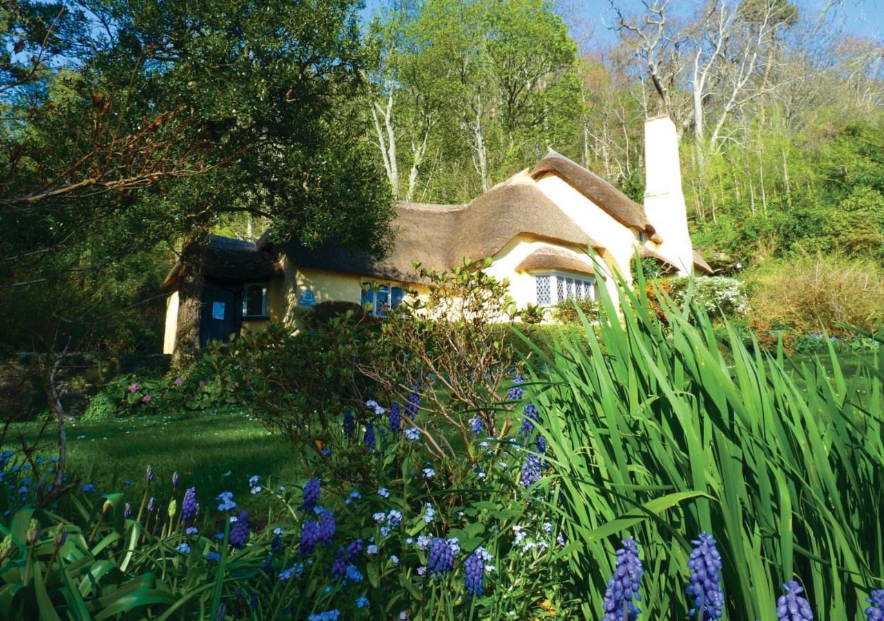 Southcliffe B&B Lynton Eksteriør billede